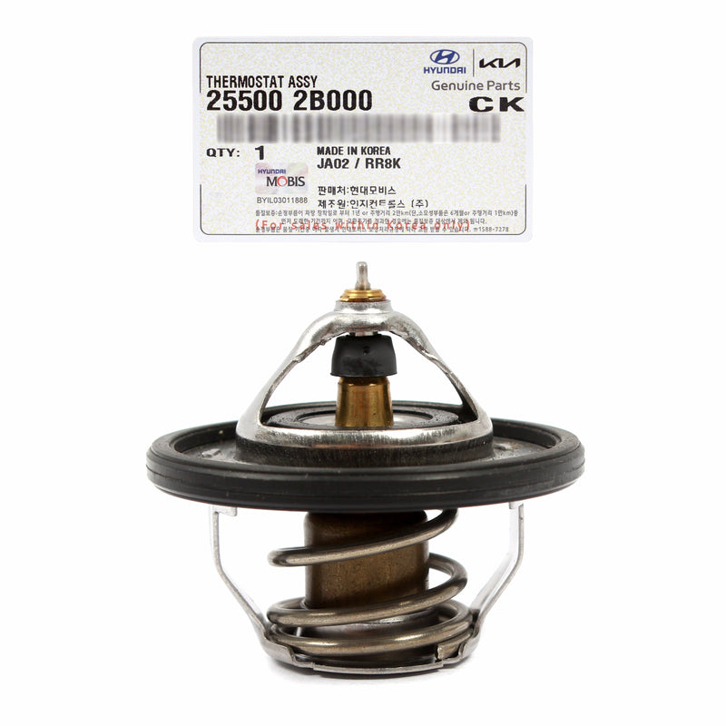Coolant Thermostat for 2010-2024 Hyundai Kia 1.6L OEM 255002B000 GENUINE