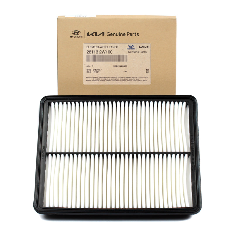 Air Cleaner Filter for 2013-2019 Santa Fe 2014-2015 Sorento 281132W100 GENUINE