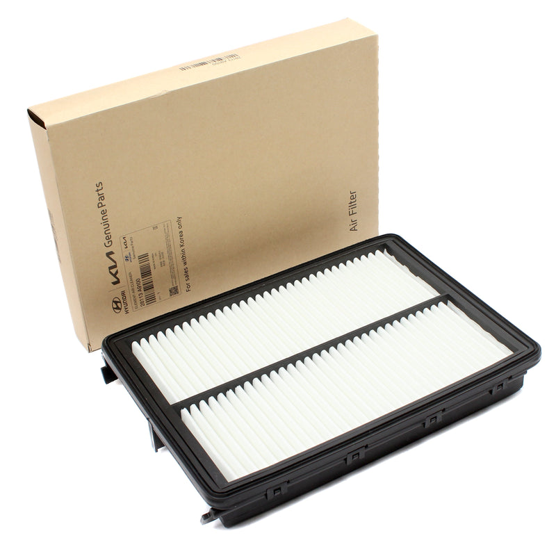 Air Filter for 2020-2024 Hyundai Palisade 2017-20 Santa Fe 28113A9100 GENUINE