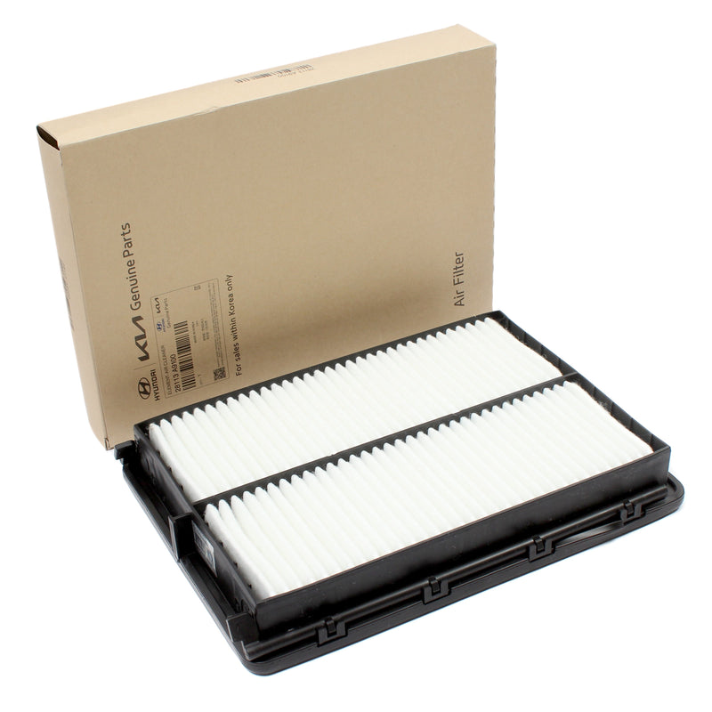Air Filter for 2020-2024 Hyundai Palisade 2017-20 Santa Fe 28113A9100 GENUINE