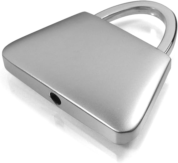 Au-TOMOTIVE GOLD Jeweled Purse Key Fob for Dodge Ram (Chrome)