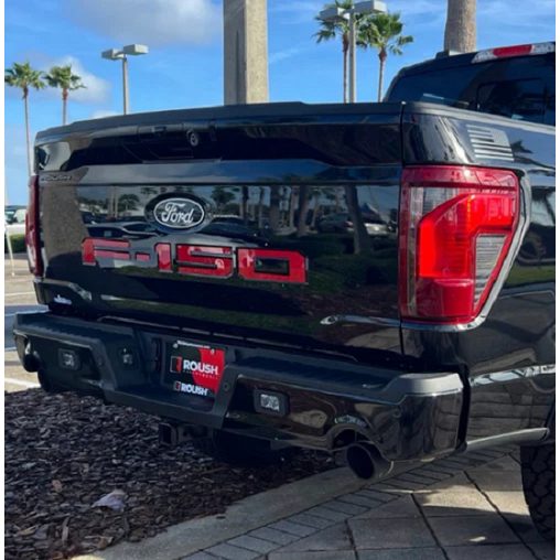 Eurosport Daytona- Compatible with 2021-Current Ford F150 Tailgate Letters (Red)