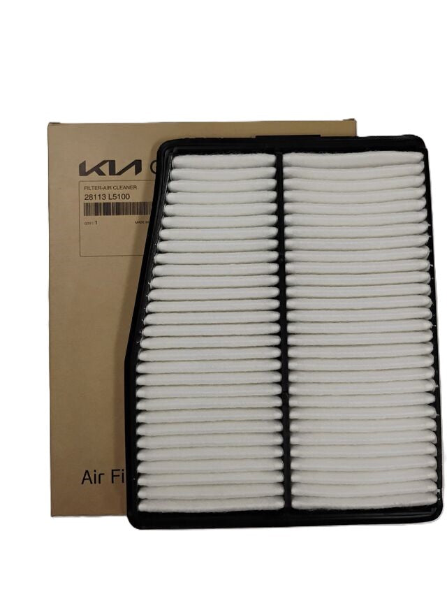 GENUINE Engine Air Filter 20-25 Santa Fe Sonata Sorento Hybrid 28113L5100