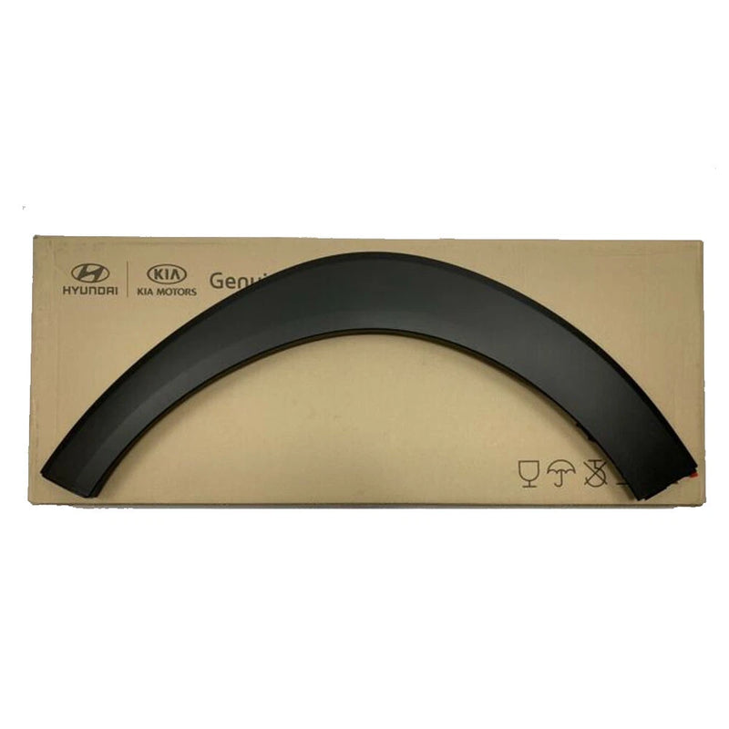 Genuine Front Fender Wheel Molding Left Hyundai TUCSON 16-21 87711D3000CA
