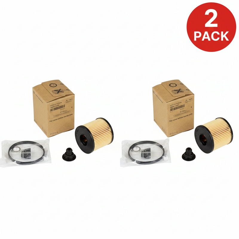 OEM Oil Filter Kit for 2024 Hyundai Elantra Kona Sonata 2.0L 263502J001 (2-Pack)